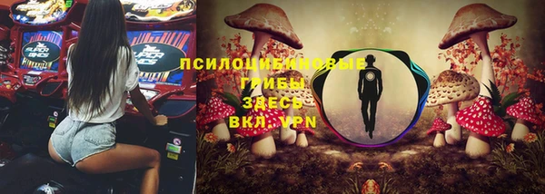 дмт Шарыпово