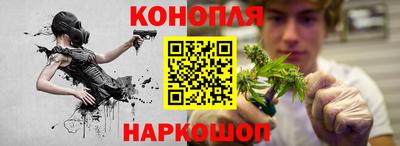jwh Будённовск