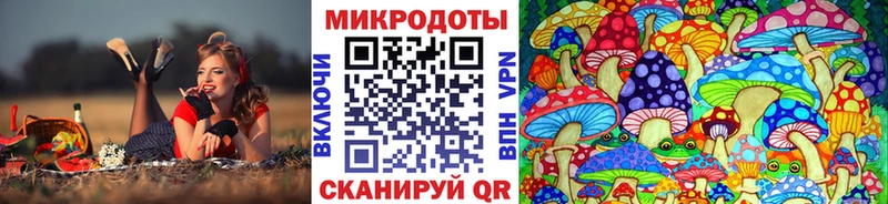 Галлюциногенные грибы прущие грибы  Уссурийск 