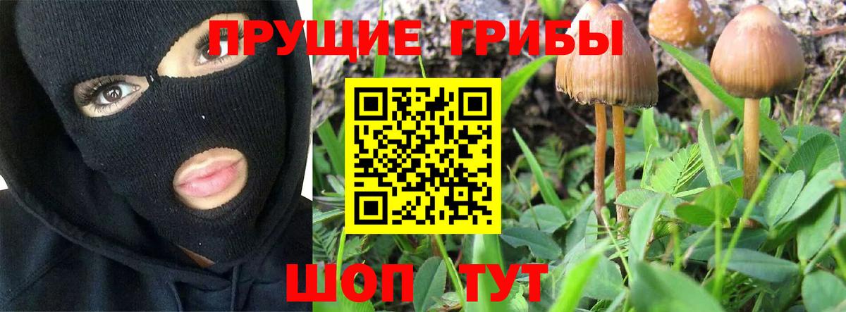 Псилоцибиновые грибы мухоморы Уссурийск