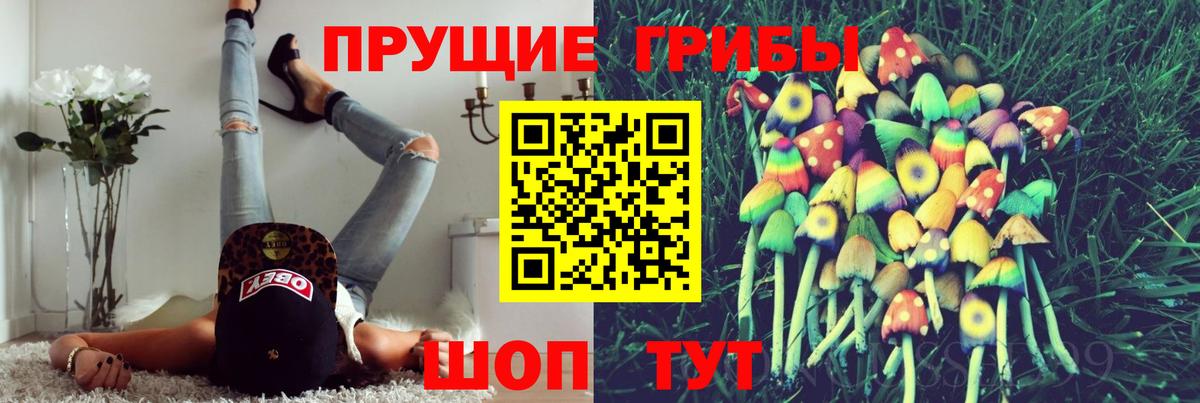 Галлюциногенные грибы мицелий Уссурийск